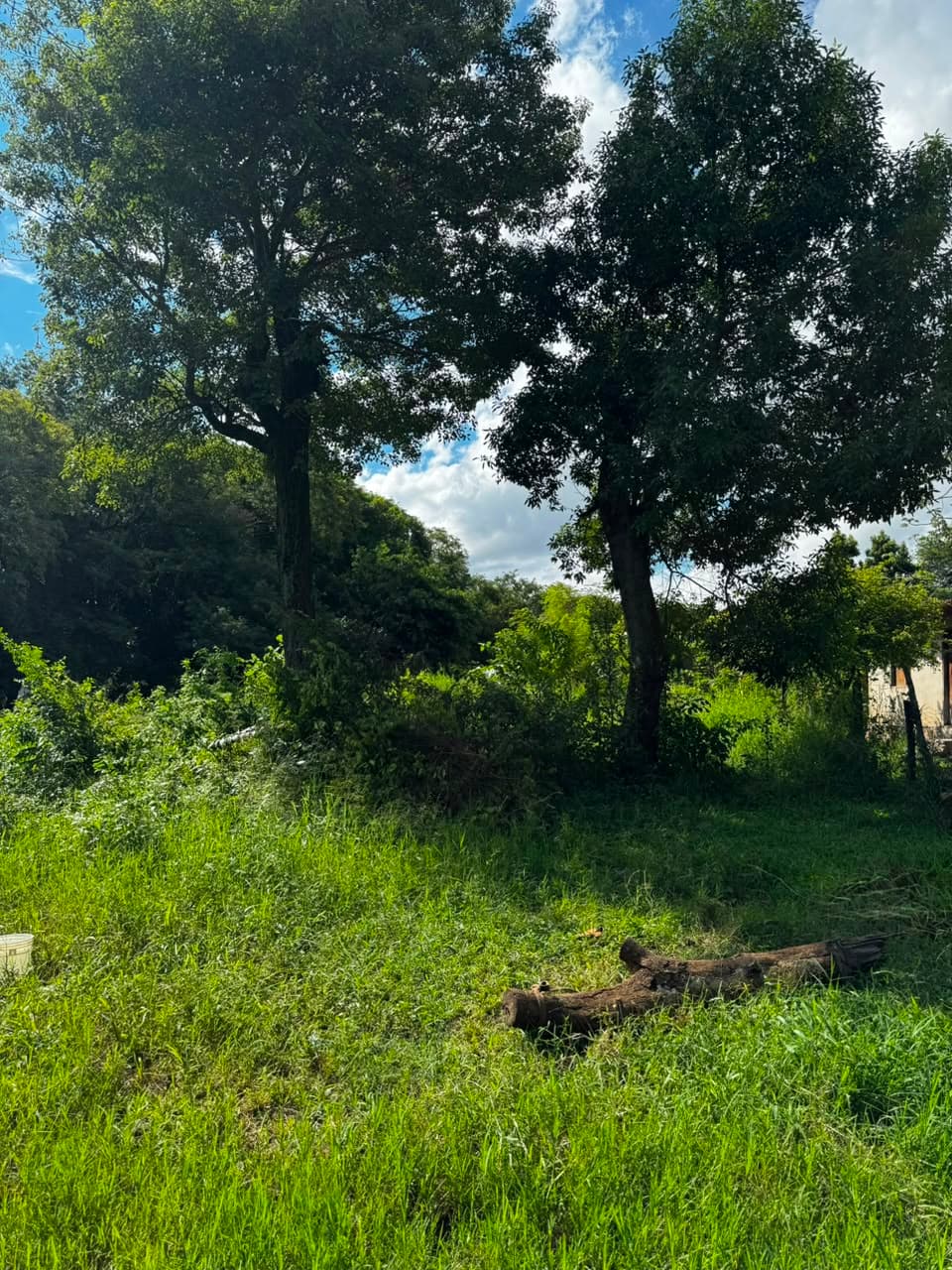 Terreno en venta en ypané, foto 3