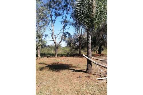 Aregua Vendo Terreno,Jukyty !!!!!!, foto 2