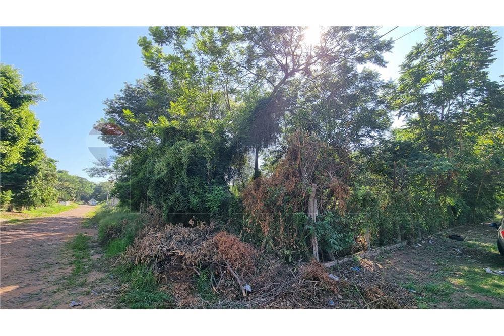 Terreno en puerto pabla, foto 5