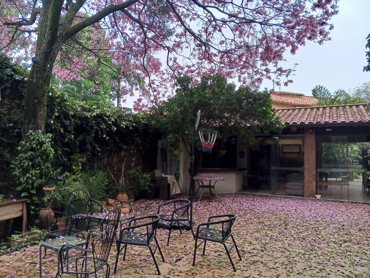 En venta residencia - bº Recoleta, foto 2