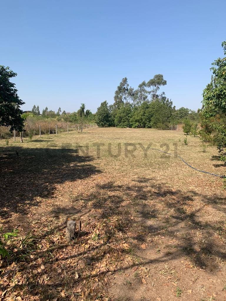 Terreno en venta en condominio surubi’i
