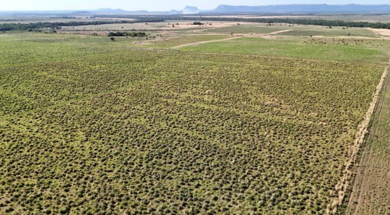 Estancia de 723 Hectáreas en Paraguarí - CLCS7389800, foto 1
