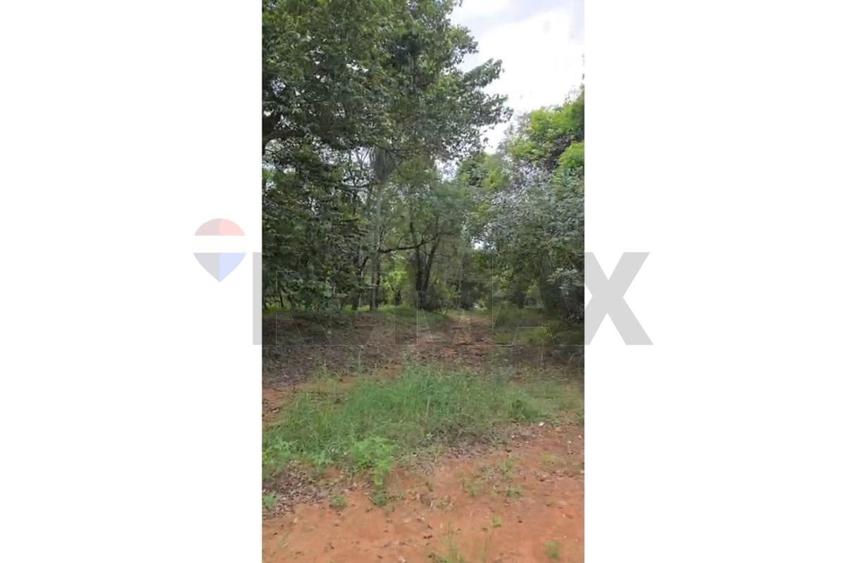 TERRENO EN VENTA- San Bernardino, foto 2