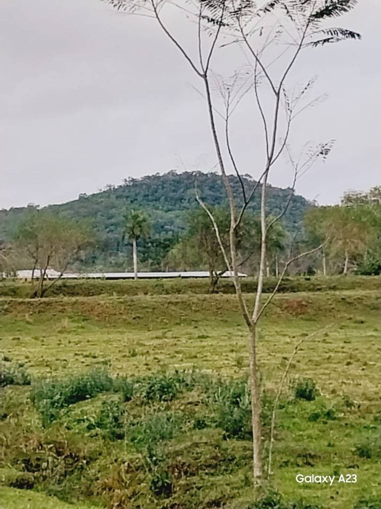 Atención inversionistas – oportunidad en acahay, foto 1