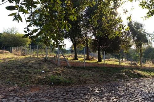 Terreno en alto parana, foto 1
