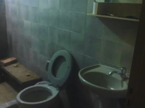 Estancia en gral. Aquino- san pedro 133has — foto 4