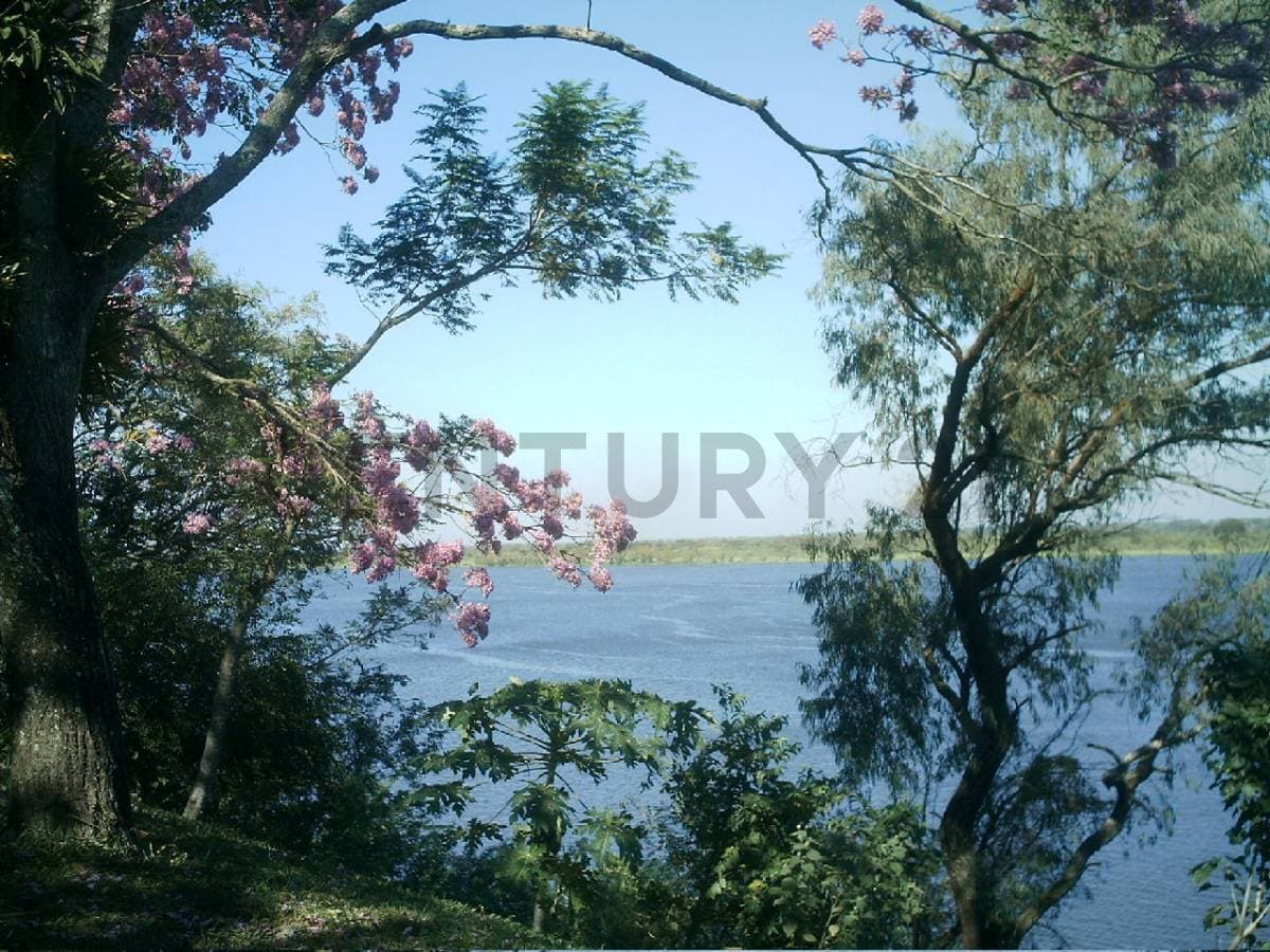 EN VENTA – Terreno De 52.339 m² Con Costa Sobre El Río Paraguay En Lambaré, foto 5