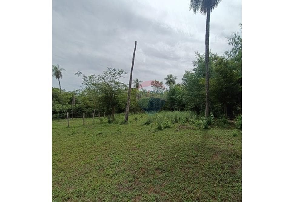 Terreno en Nueva Colombia, foto 2