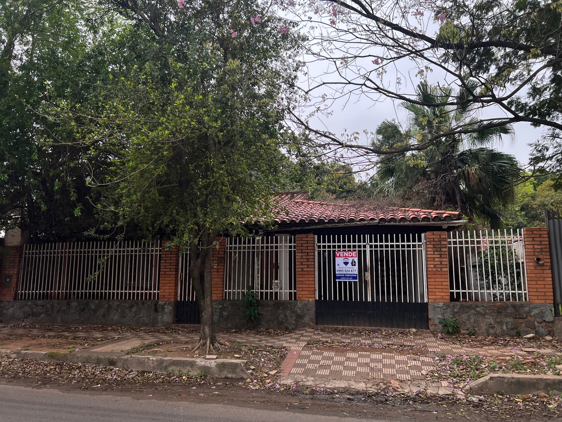 Vendo terreno con casa a refaccionar o demoler en Herrera