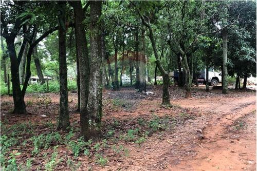 Terreno-Venta-PY Central Luque Itapuamí I JUAN BAUTISTA GÍMENEZ, foto 3
