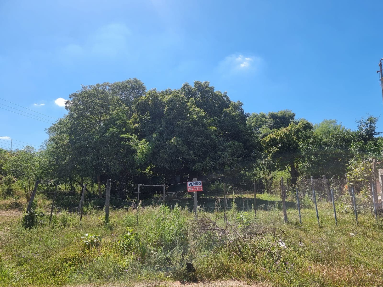 Terreno En Venta, Zona Isla Aranda De Limpio