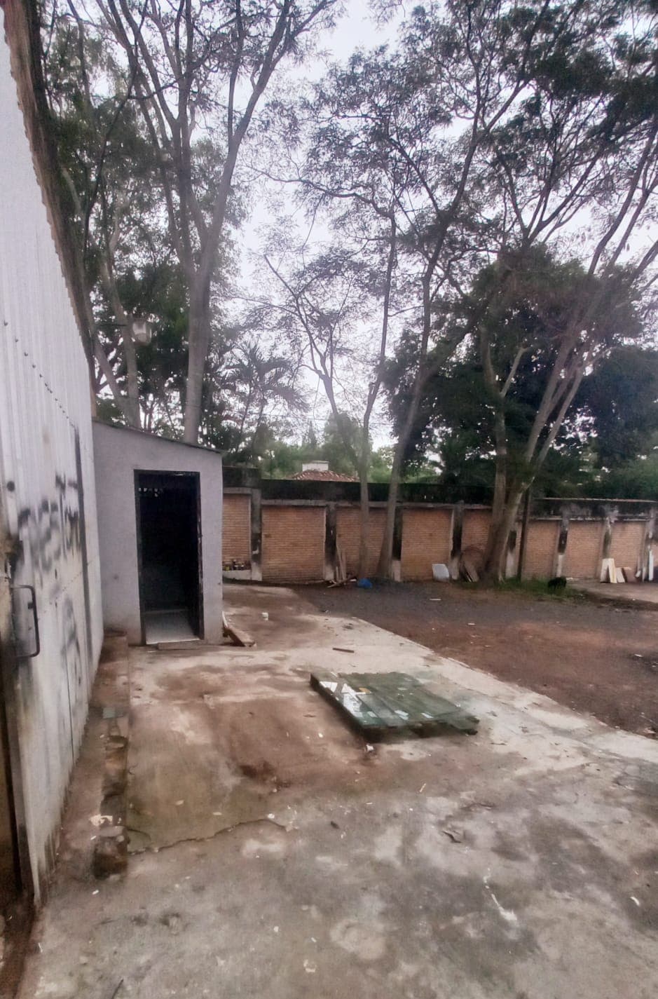 Tinglado en alquiler - Lambaré- Asunción, foto 3