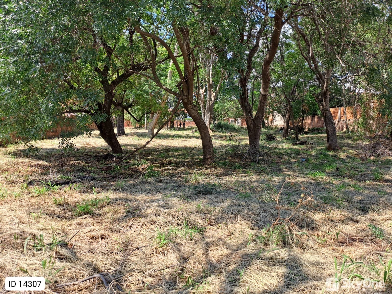 Terreno en Venta en Villa Elisa para Desarrollos e inversiones, foto 3