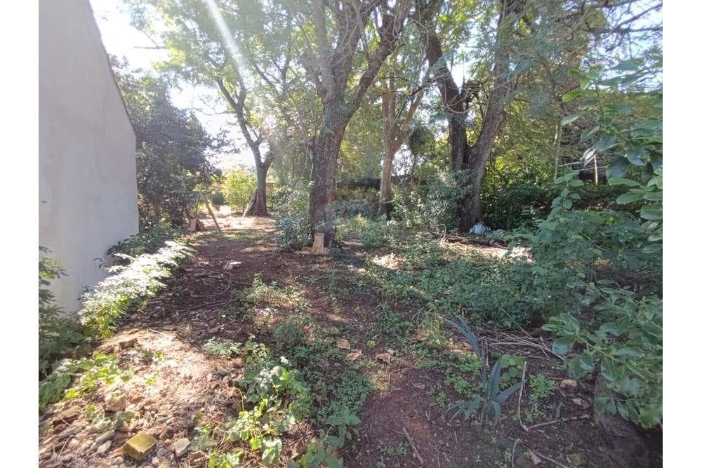 Terreno - Venta - Paraguay Central Ñemby, foto 2
