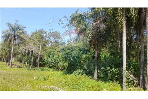 Terreno - Venta - Paraguay Cordillera San Bernardino - Urbanización el cortijo