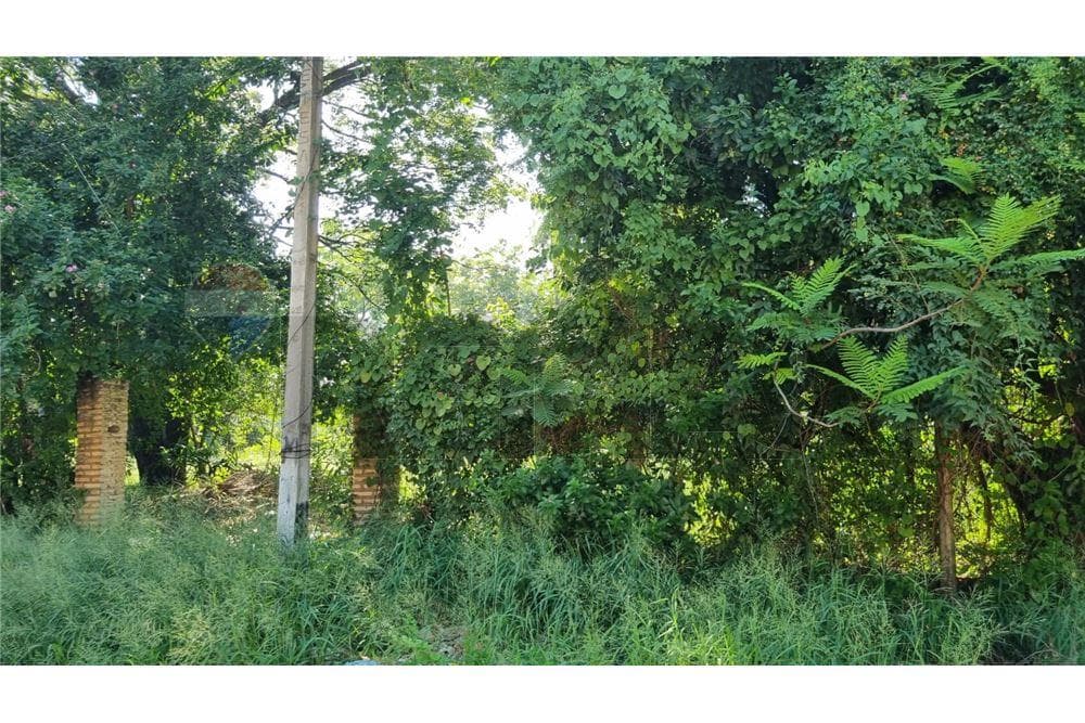 Terreno en venta - Lambaré, foto 4