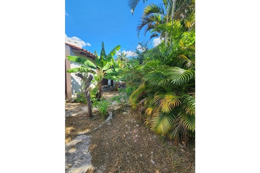 Propiedad zona casa rica los laureles, foto 4