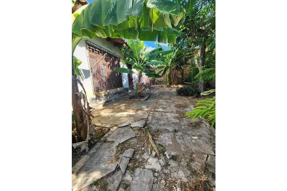 Propiedad zona casa rica los laureles, foto 5
