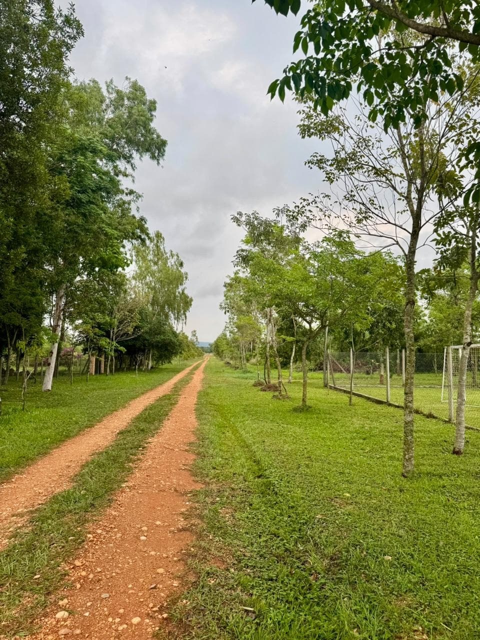 Amplio Terreno En San Bernardino, zona el Cortijo, foto 2