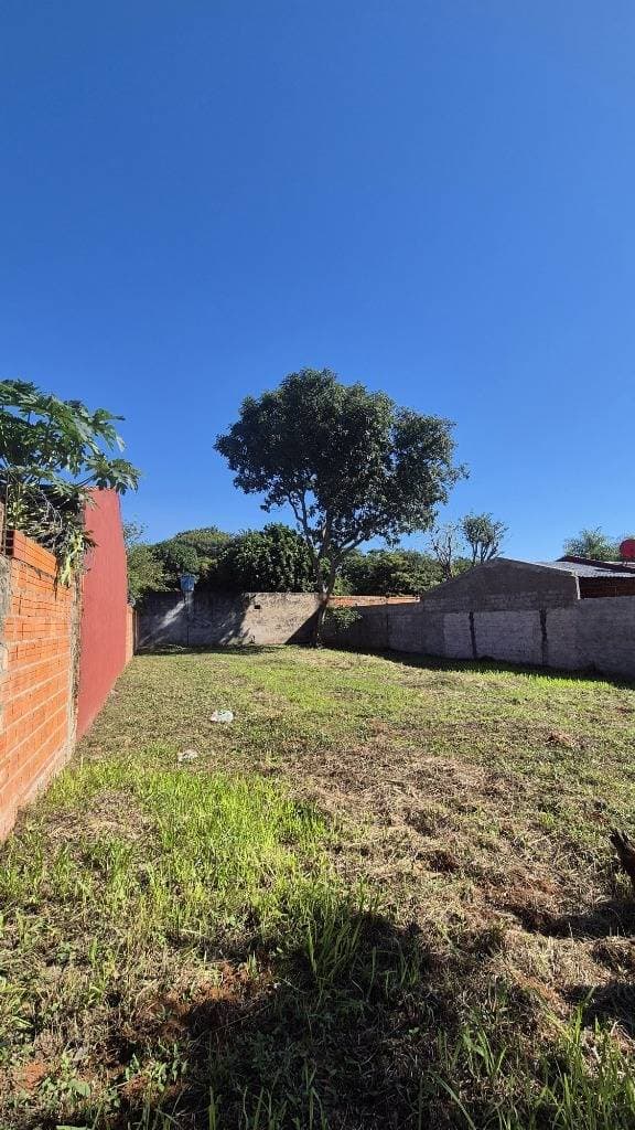 Terreno en Luque zona ykua dure, foto 2