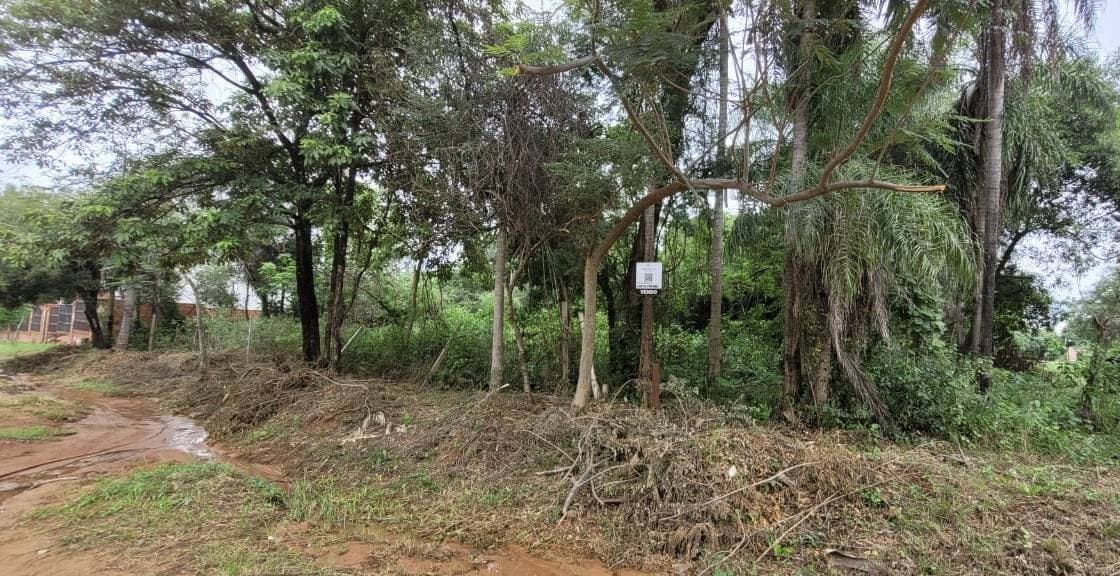 Terreno en San Bernardino zona Ciervo Cua, foto 3