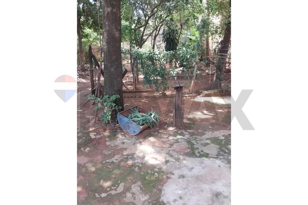 Terreno - Venta - Luque, foto 5