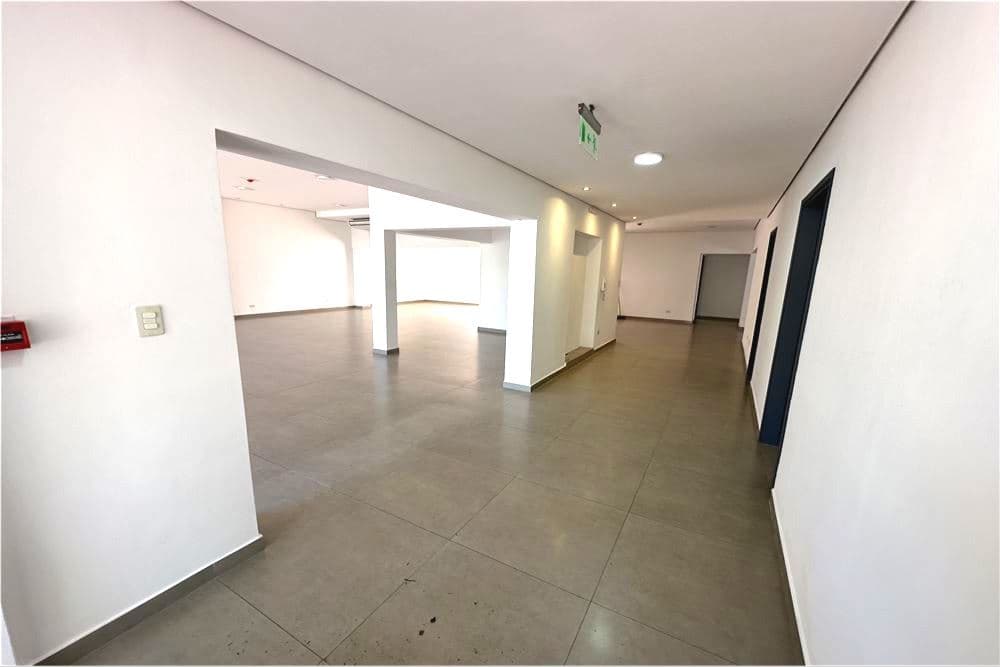 ????✨ amplio local comercial con oficinas y patio – barrio ciudad nueva ✨????, foto 3