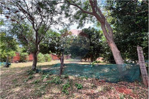 Terreno en venta Villa Elisa zona colonia elisa, foto 2