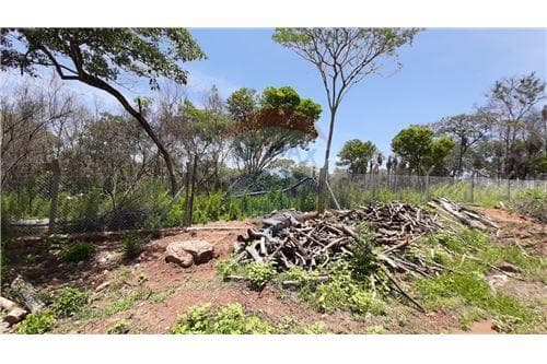 Terreno - Venta - Paraguay Cordillera San Bernardino, foto 4