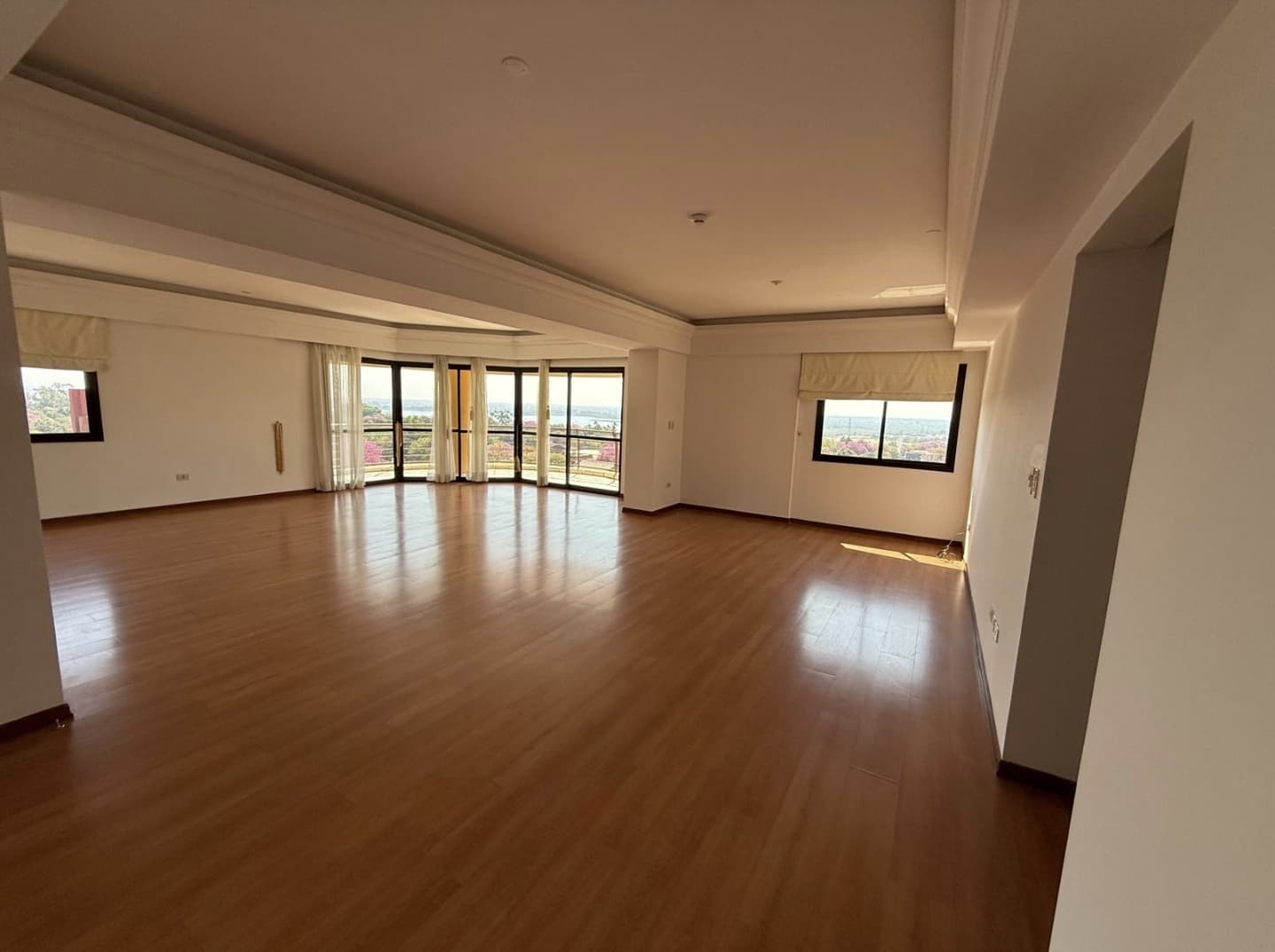 ¡Hermoso y Amplio Departamento de 287 m² en Las Mercedes, Asunción!, foto 4