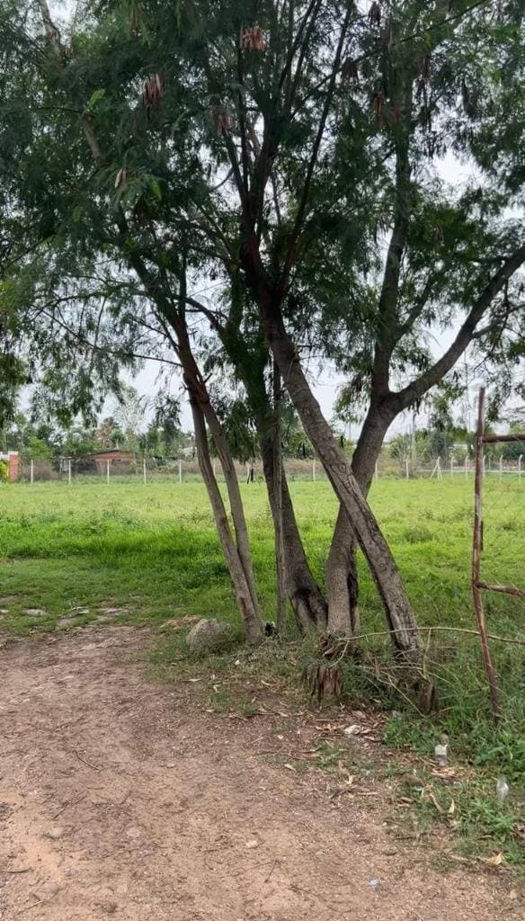 Terreno sobre av principal en sanber, foto 2