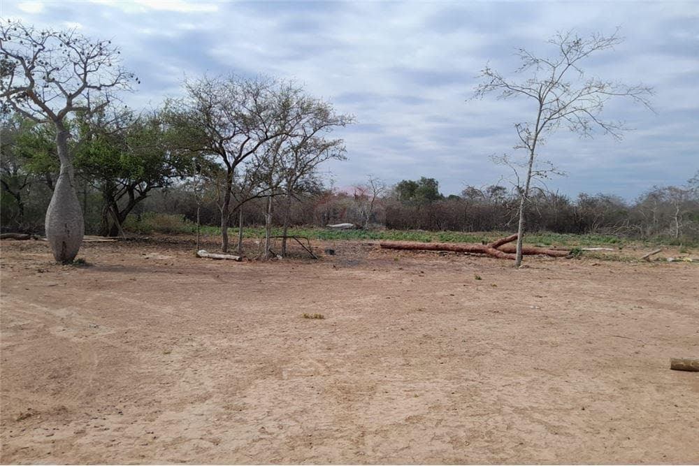 Campo en mariscal estigarribia 4.000 hectareas, foto 5