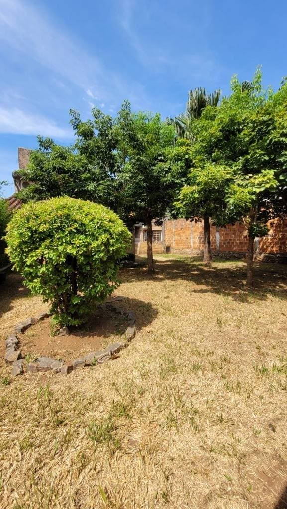 En venta amplia propiedad ideal para desarrollos inmobiliarios, foto 3