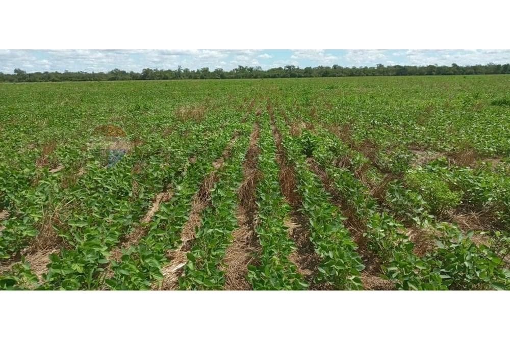 En venta Estancia en Bahía Negra Chaco Paraguayo, foto 5