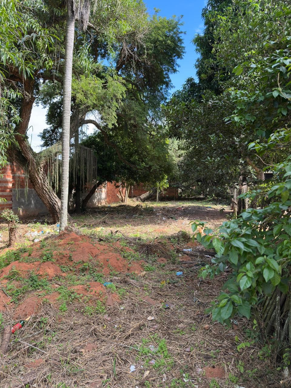 Hermoso terreno ideal para tu vivienda, foto 4