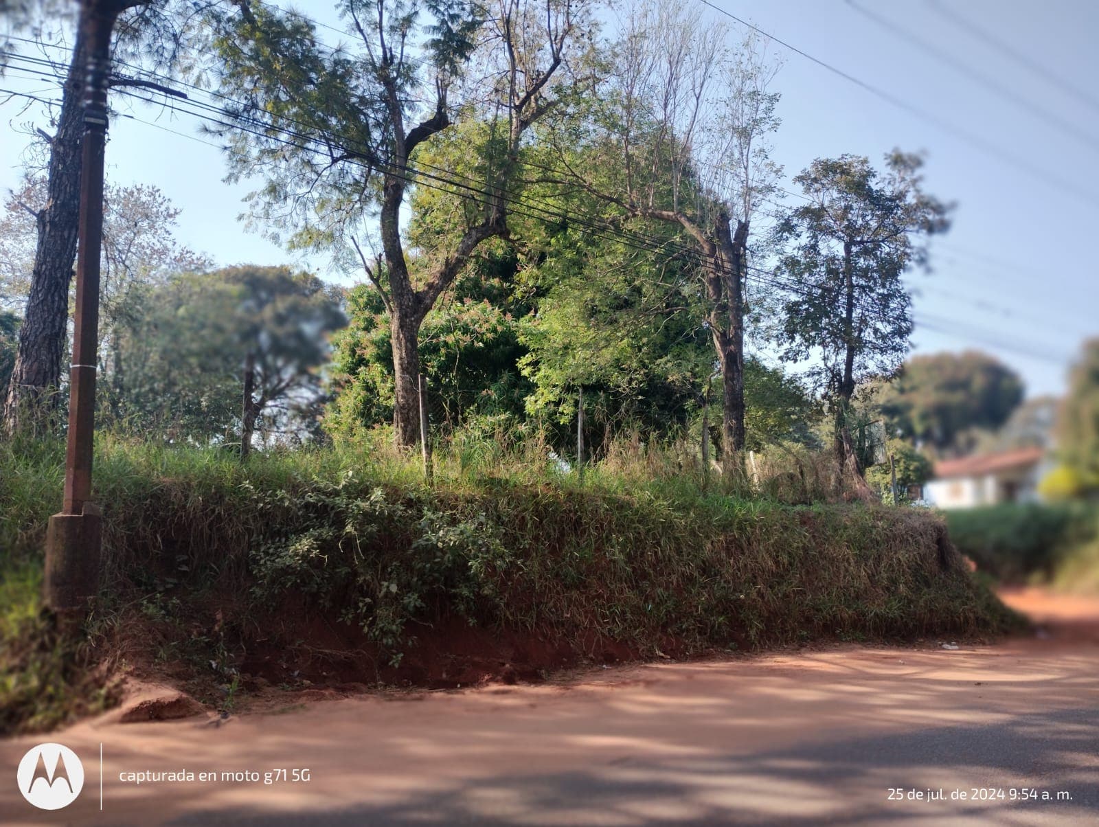 Terreno, foto 1