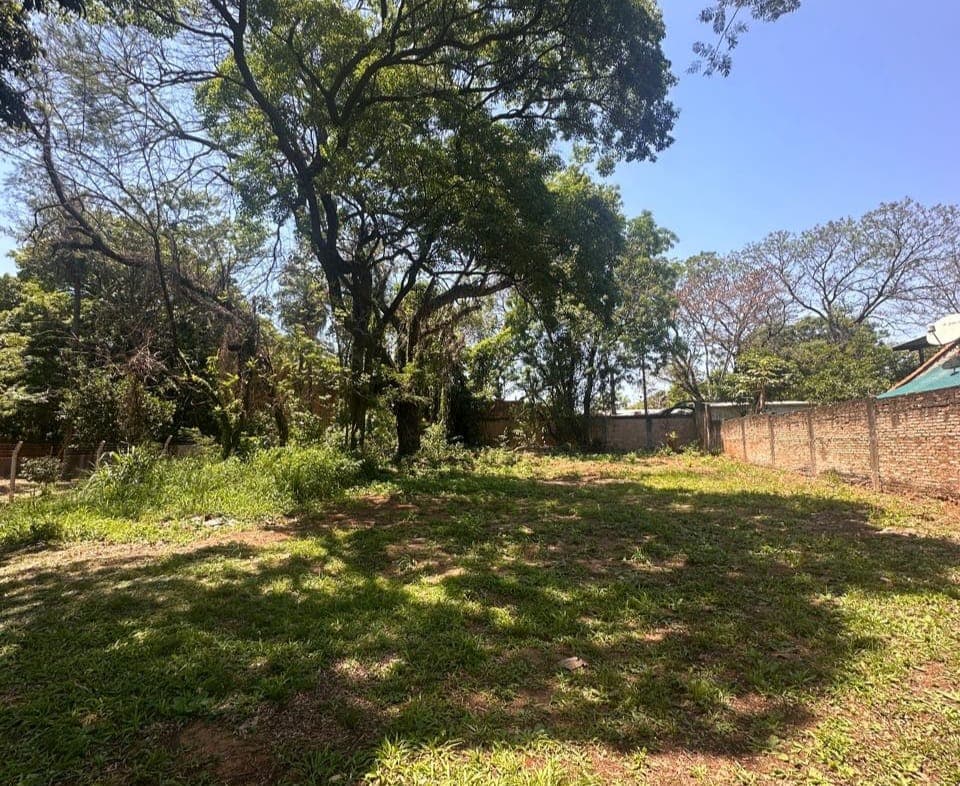 Terreno en Fernando de la Mora z/ norte!!, foto 3