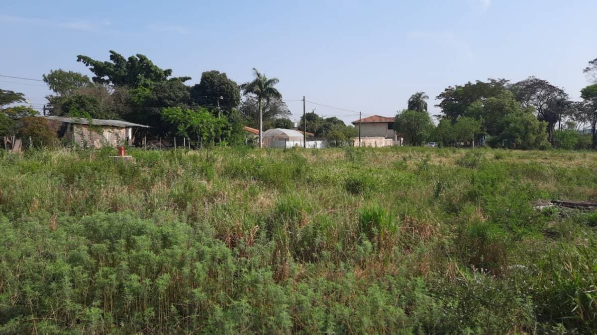 Hermoso terreno en Villa Elisa — foto 3