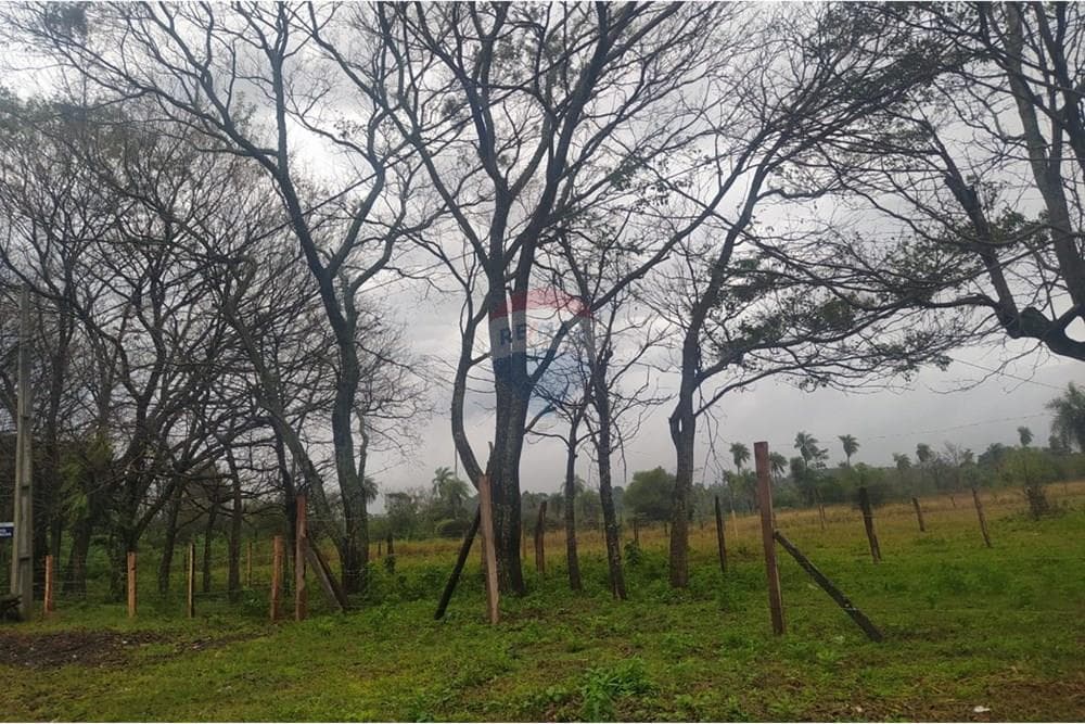 Terreno - Venta - Santa Rosa, Paraguay, foto 4