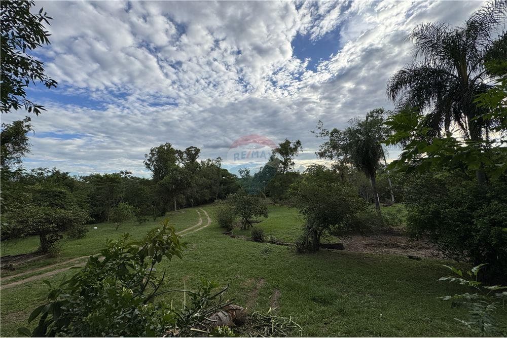 Terreno de 2.5 hectareas entre capiata y aregua, foto 4