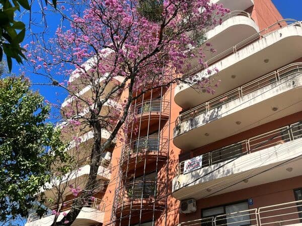 Exclusivo departamento en Las Mercedes, foto 1