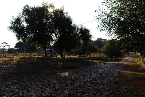 Terreno en alto parana, foto 5