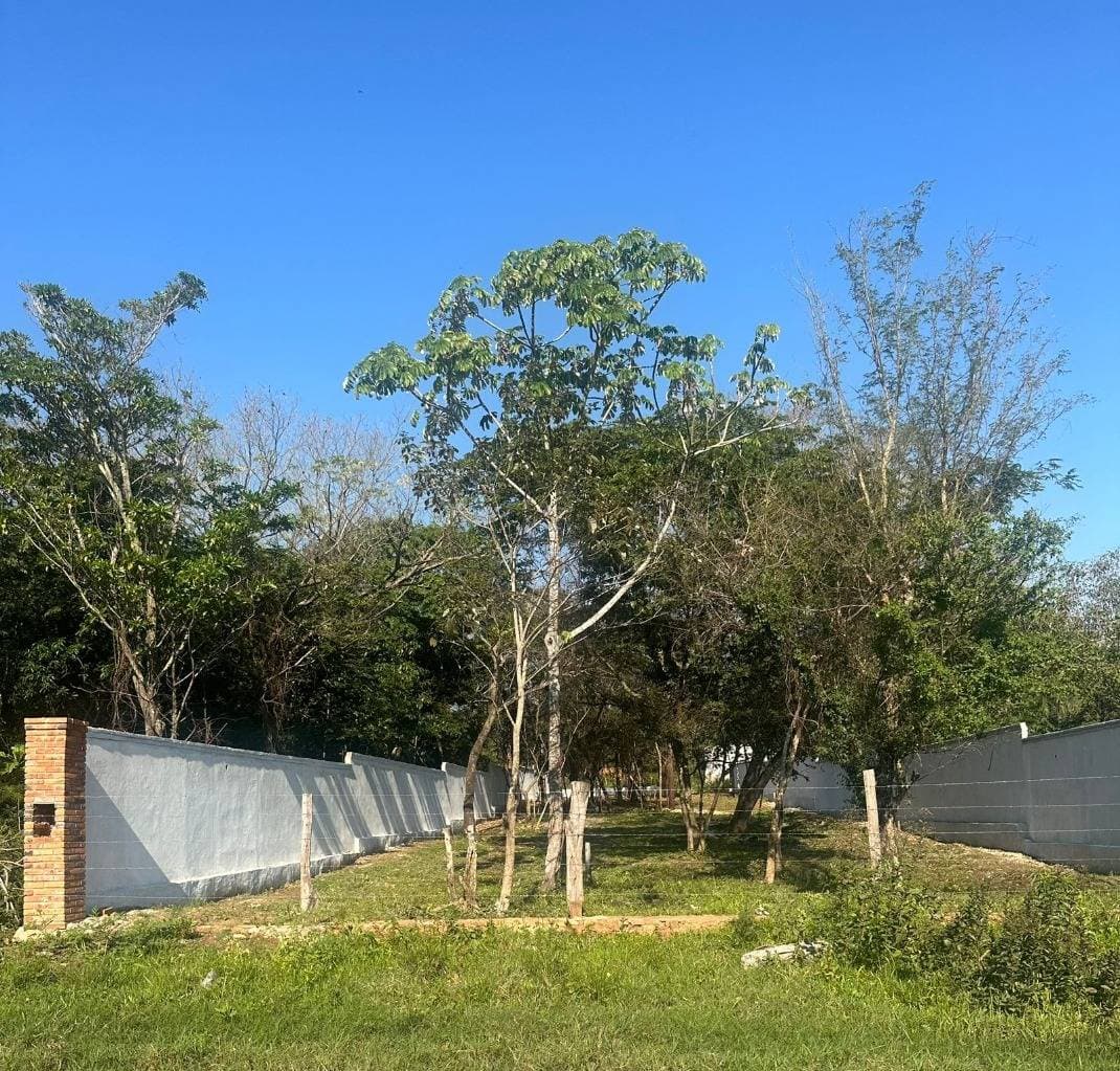 Terreno en San Bernardino, foto 3