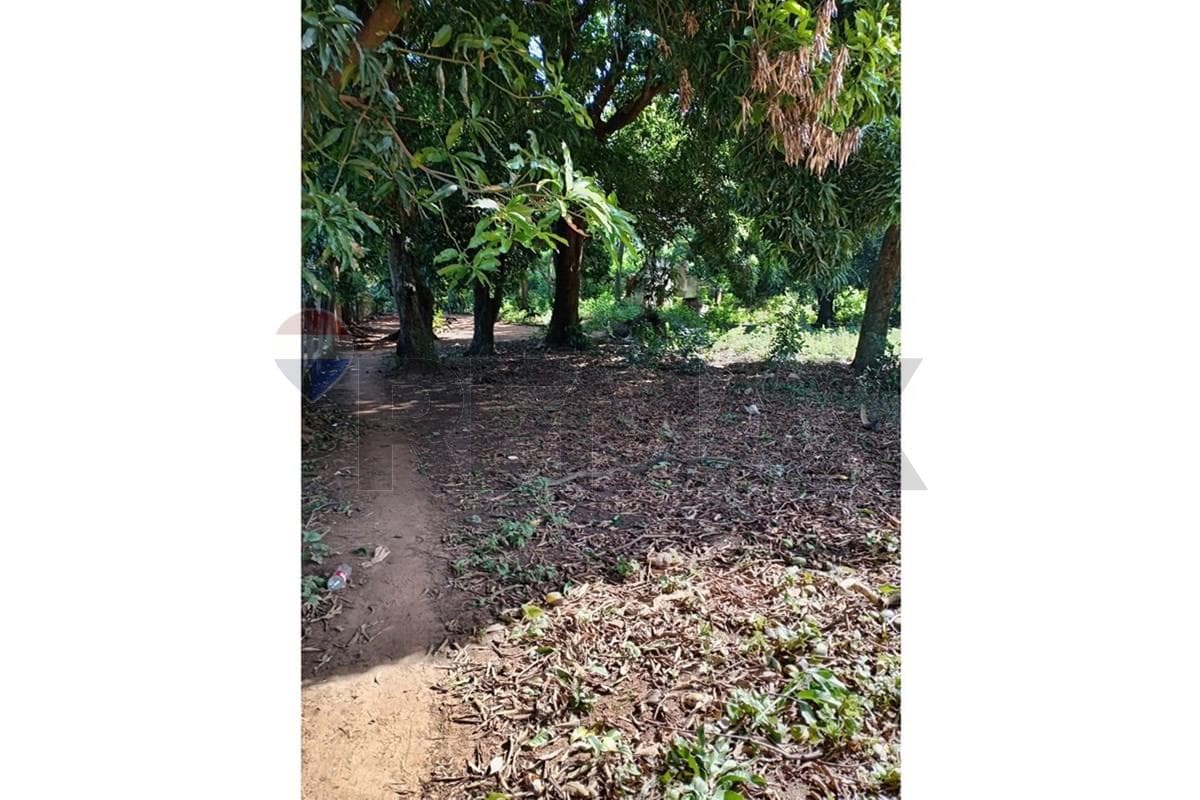 Terreno Ideal en Capiatá: Tu Sueño a Un Paso