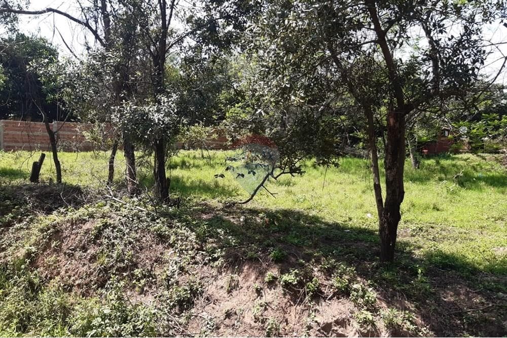 VENDO 3 TERRENO EN Luque junto o separados