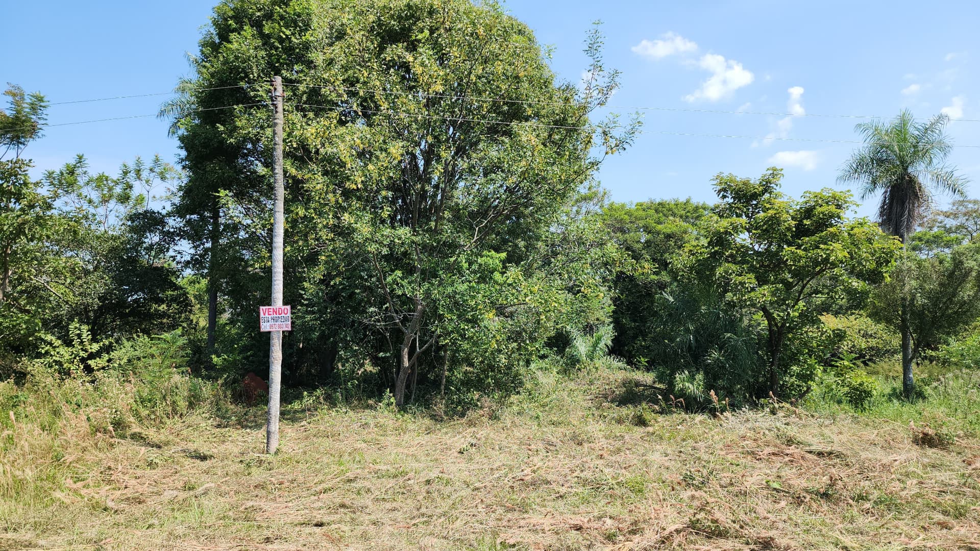 Vendo Terreno En Paraguari, Caacupe Y Limpio