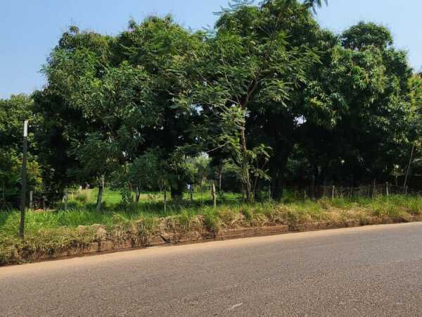 Terreno Zona Ruta Luque - Limpio — foto 1