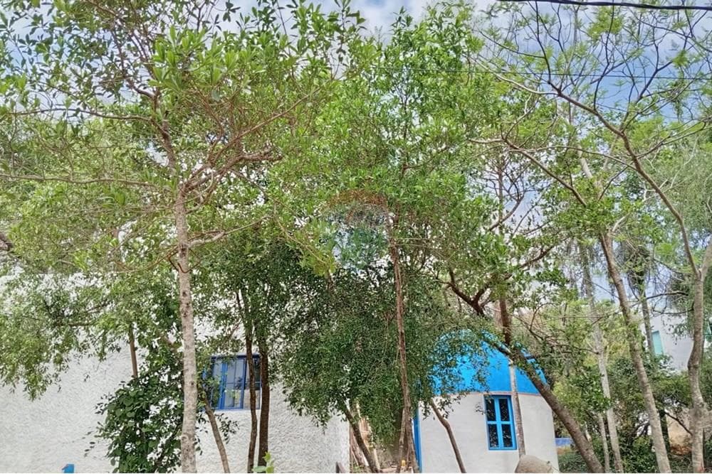 Casa - Venta - Piribebuy, Paraguay, foto 1