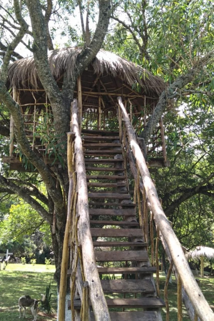 ????Casa Quinta en venta – Itacurubí de la Cordillera, foto 3