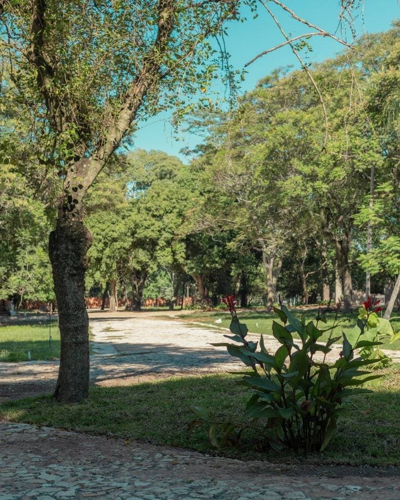 de Terreno en San Bernardino, Cordillera, foto 5